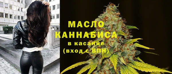 молекула духа Пестово