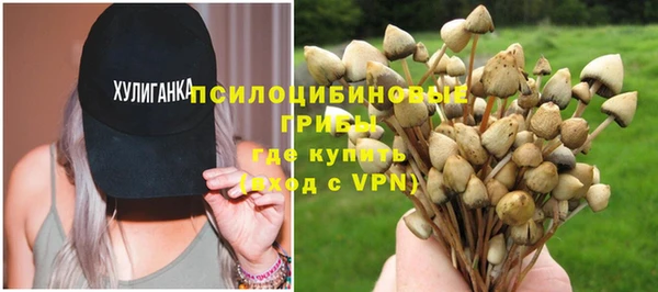 экстази Арсеньев