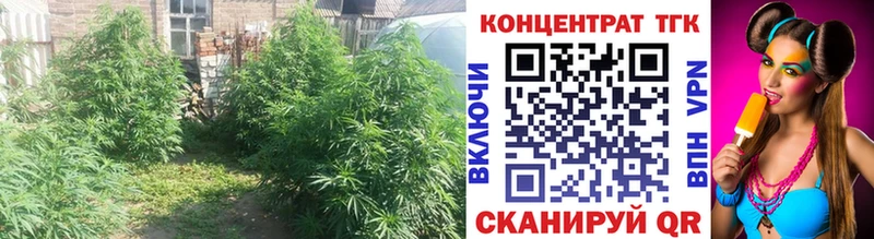 маркетплейс Telegram  купить  сайты  Певек  ТГК THC oil 