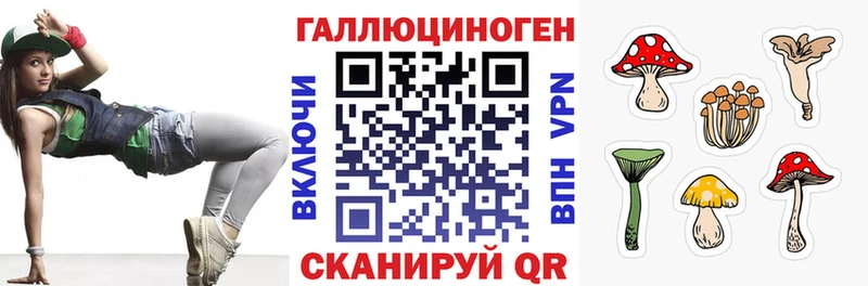 где продают   Певек  нарко площадка формула  Псилоцибиновые грибы Psilocybine cubensis 